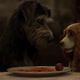 Image for article titled The Dogs Look Great